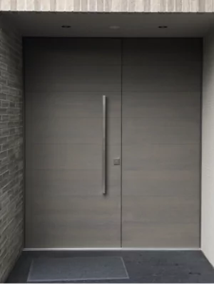 Frontansicht einer graubraunen Haustür mit Seitenteil.